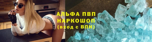 ПСИЛОЦИБИНОВЫЕ ГРИБЫ Осташков