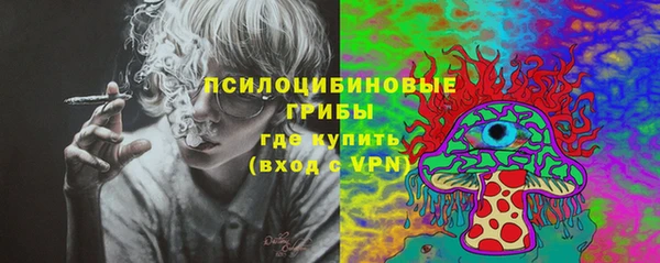 сатива Абдулино