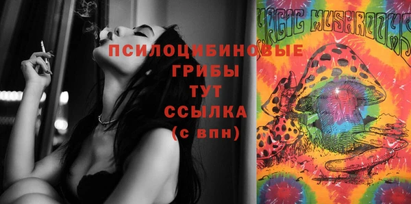 бошки Осинники