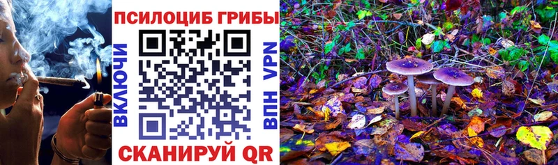 Галлюциногенные грибы ЛСД  Суоярви 